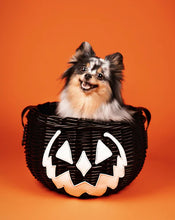 Load image into Gallery viewer, Haunted Hallows Black Pumpkin Jack O Lantern Wicker Picnic Basket Bag- BACK IN STOCK!