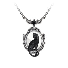 Load image into Gallery viewer, Feline Felicity Necklace