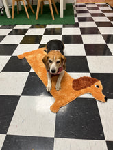 Load image into Gallery viewer, Doggy Rug