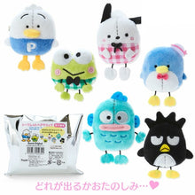 Load image into Gallery viewer, Secret Plush Character Blind Box Hair Clip