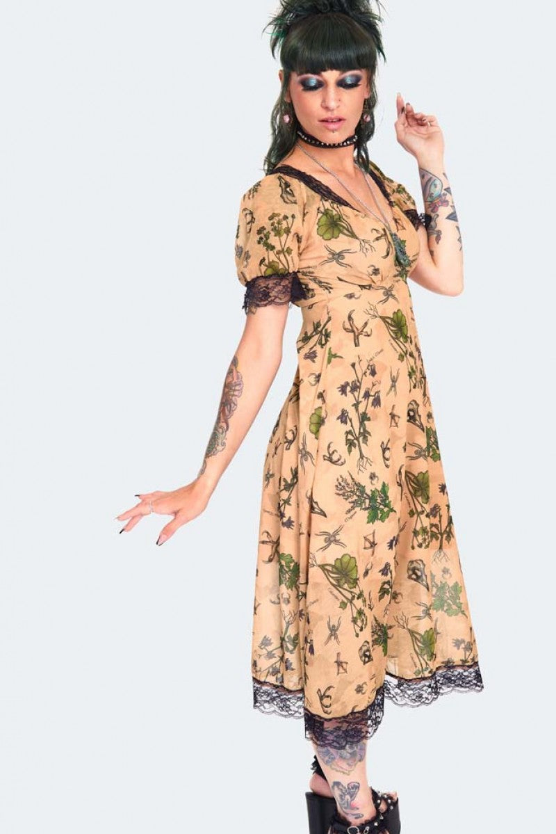 Apothecary Beige Lace Accented Slip Dress – Pink House Boutique