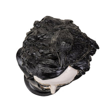 Load image into Gallery viewer, Quoth The Raven Edgar Allen Poe Bust
