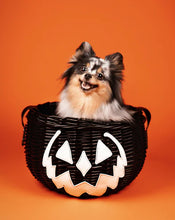 Load image into Gallery viewer, Haunted Hallows Black Pumpkin Jack O Lantern Wicker Picnic Basket Bag
