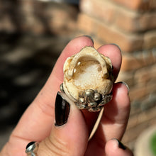 Load image into Gallery viewer, Carved Bone Skull Pendant
