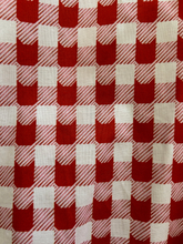 Load image into Gallery viewer, Red Cat Check Skater Skirt

