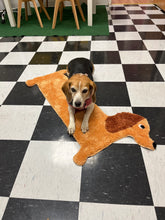 Load image into Gallery viewer, Doggy Rug
