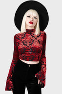 Vassago Velvet Burnout Long Sleeve Lace Up Back Crop Top