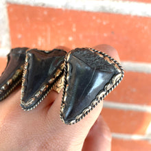 Load image into Gallery viewer, Fossilized Tooth Statement Ring
