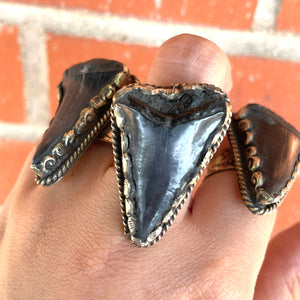 Fossilized Tooth Statement Ring