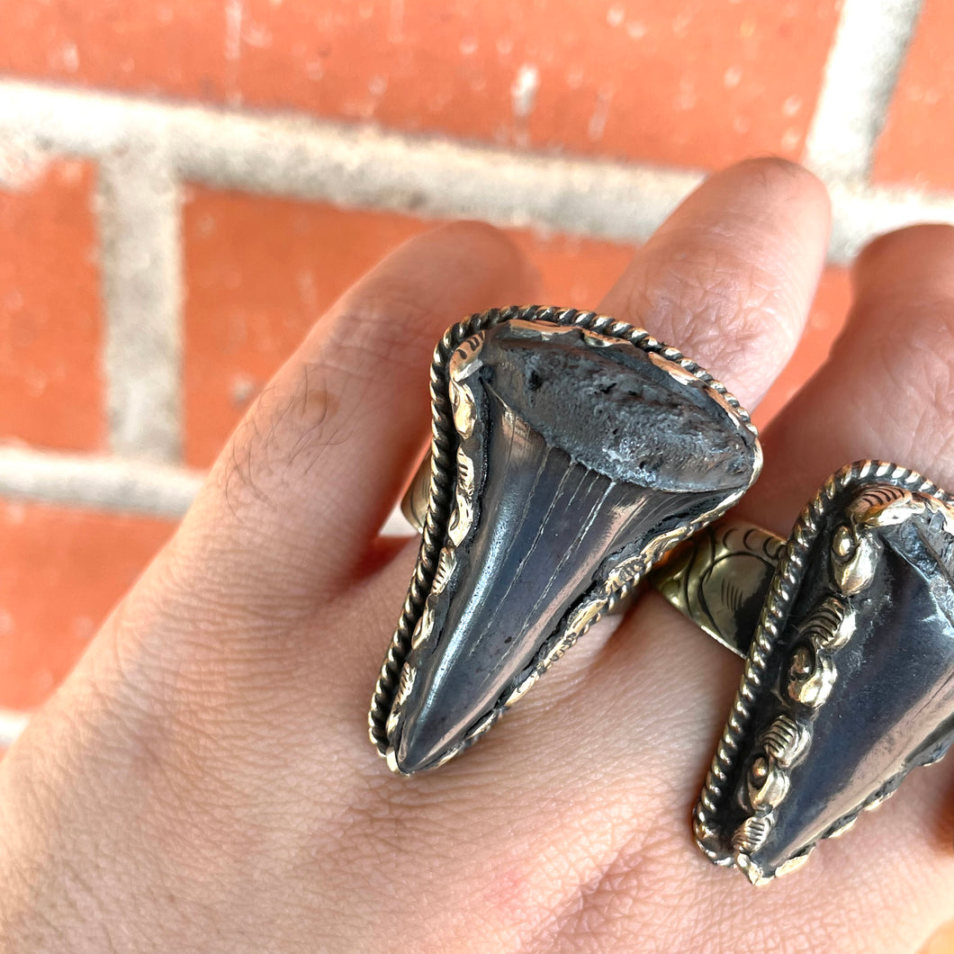 Fossilized Tooth Statement Ring