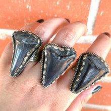 Load image into Gallery viewer, Fossilized Tooth Statement Ring
