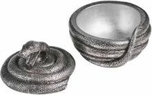 Load image into Gallery viewer, Coiled Snake Trinket Box
