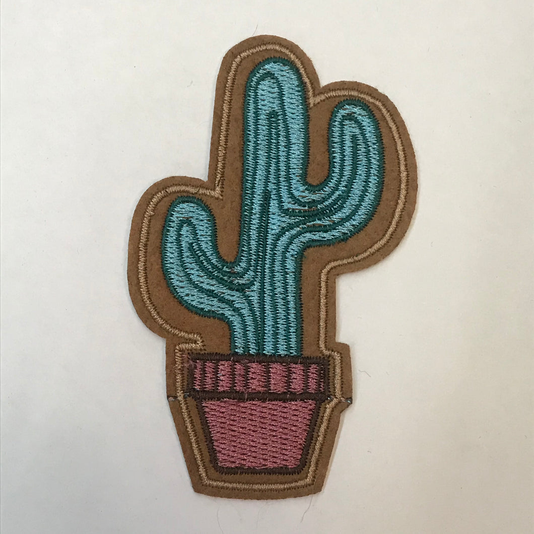 Cactus in Pink Pot Patch