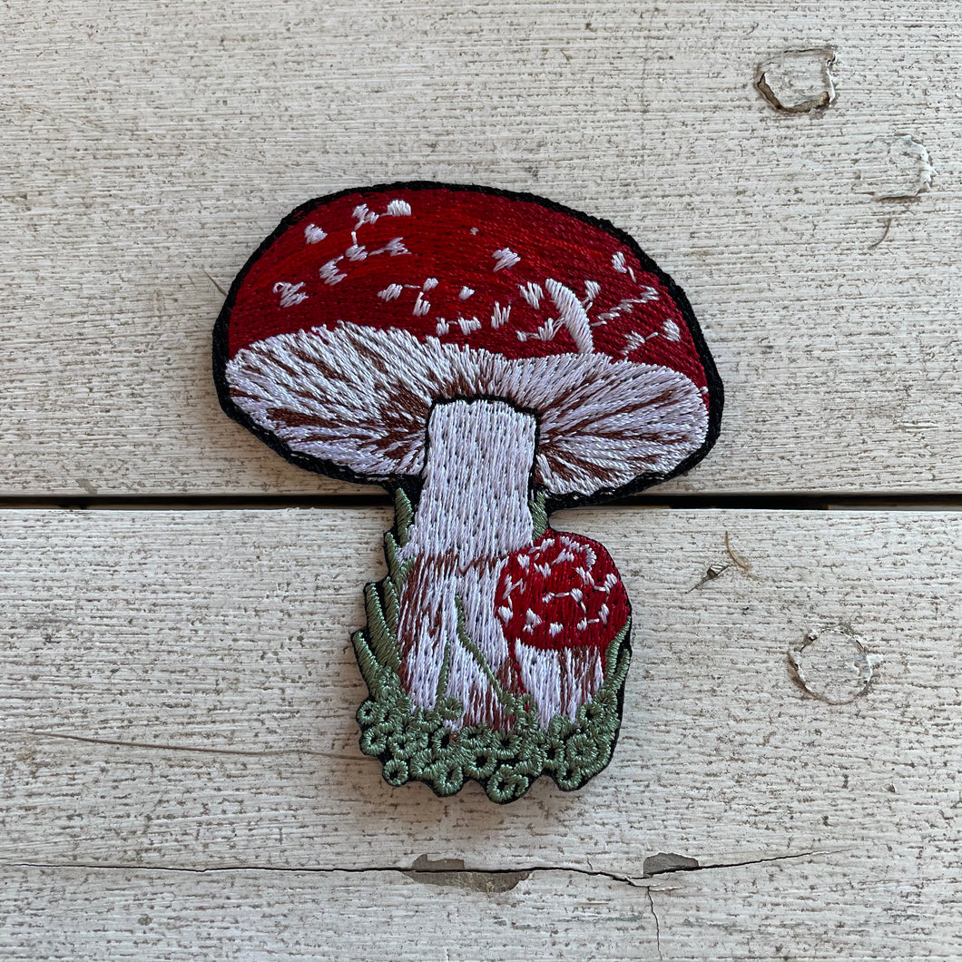 Mossy Mushrooms Patch