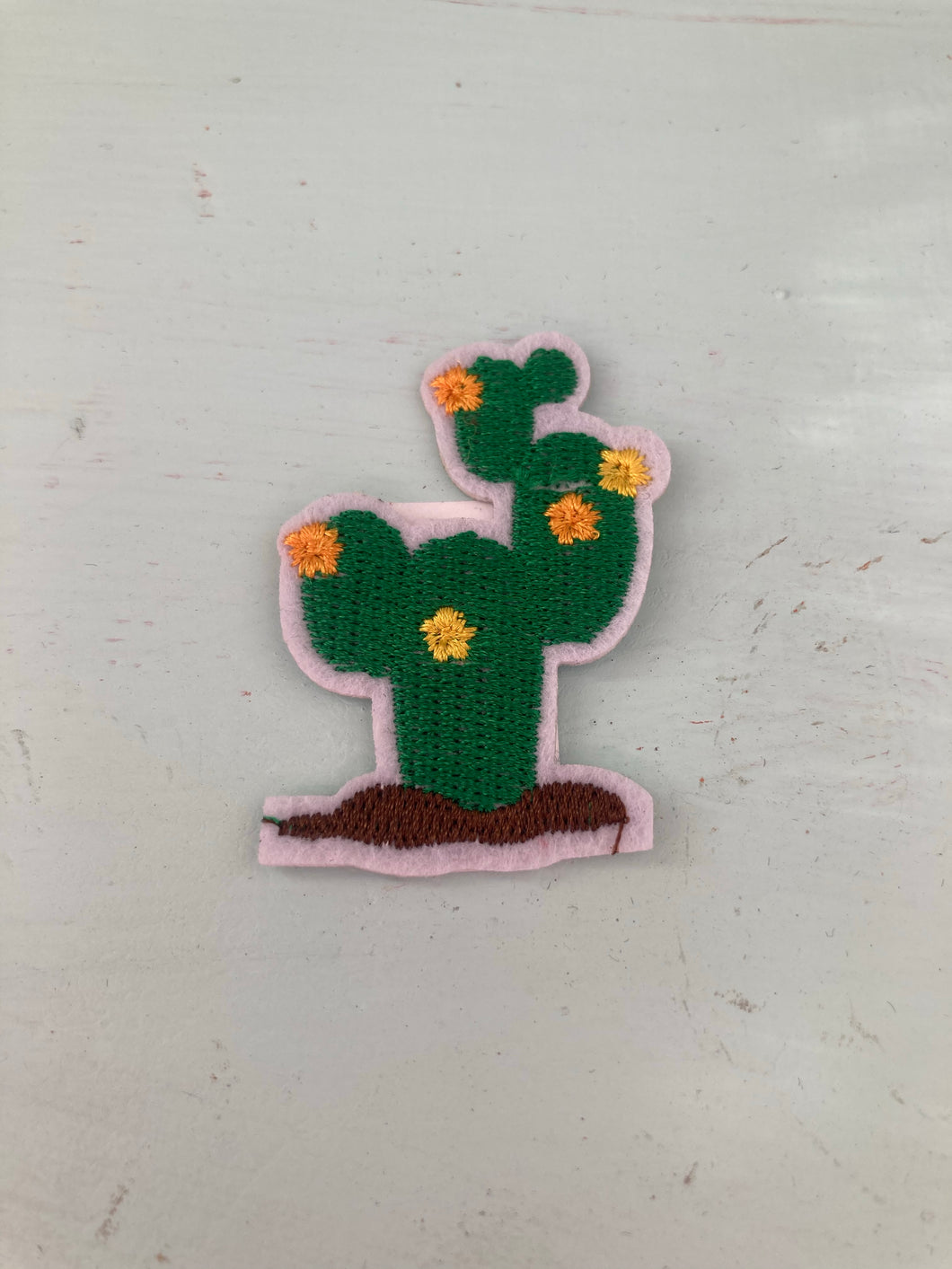 Prickly Pear Cactus with Yellow Flowers in Soil Mini Patch