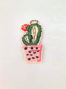 Cactus with Red Flower in Pink Pot Mini Patch