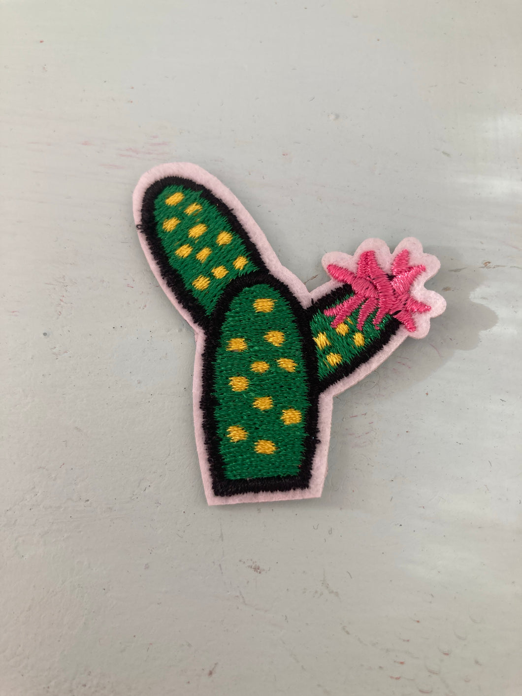 Prickly Pear Cactus with Yellow and Pink Flowers Mini Patch