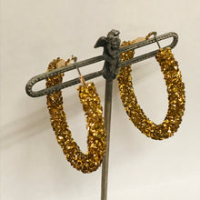 Load image into Gallery viewer, Gemmy Hoop Earrings
