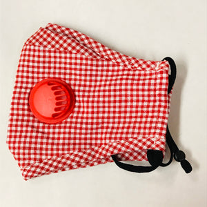 Red Gingham Mask with Attached Filter